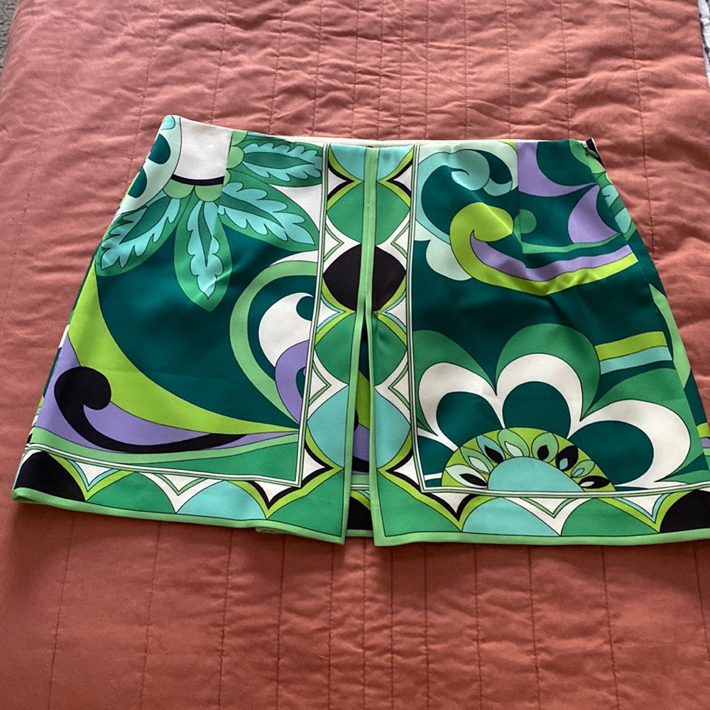 Zara Skirt!